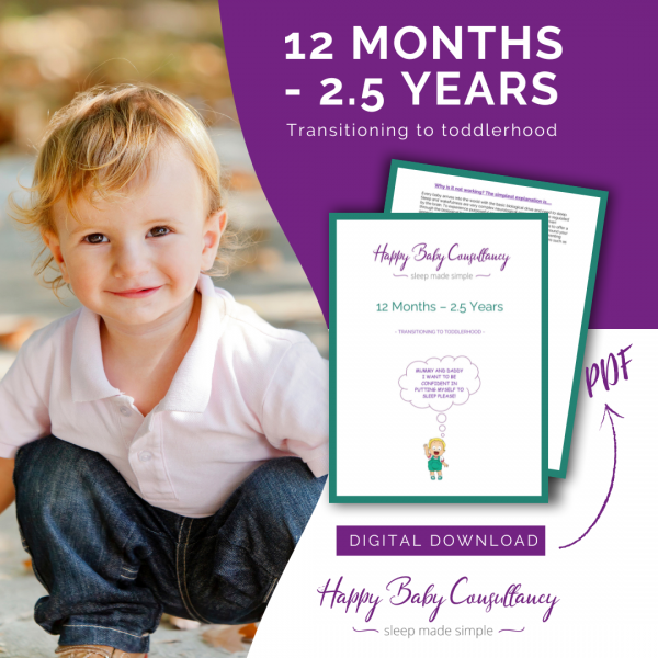 Happy Baby Consultancy - 12months-2.5years Downloadable Booklet